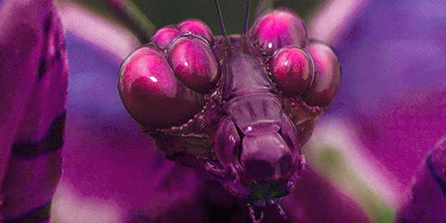 04-color.gif