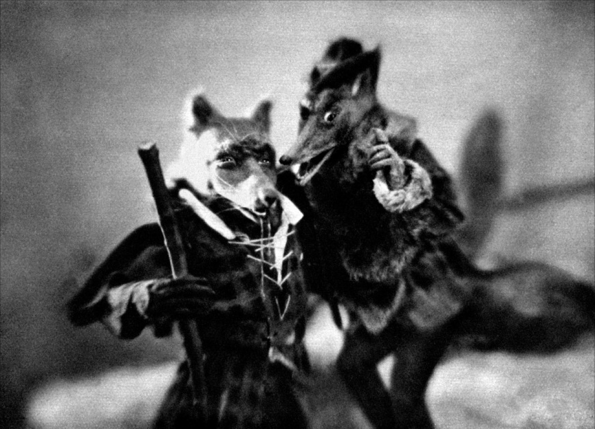 10-renard.jpg